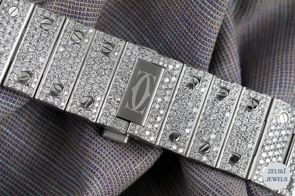 Cartier silver automatic watch with precise movement and sophisticated aesthetics.