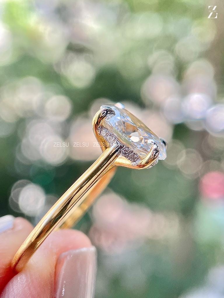 ZJM01007