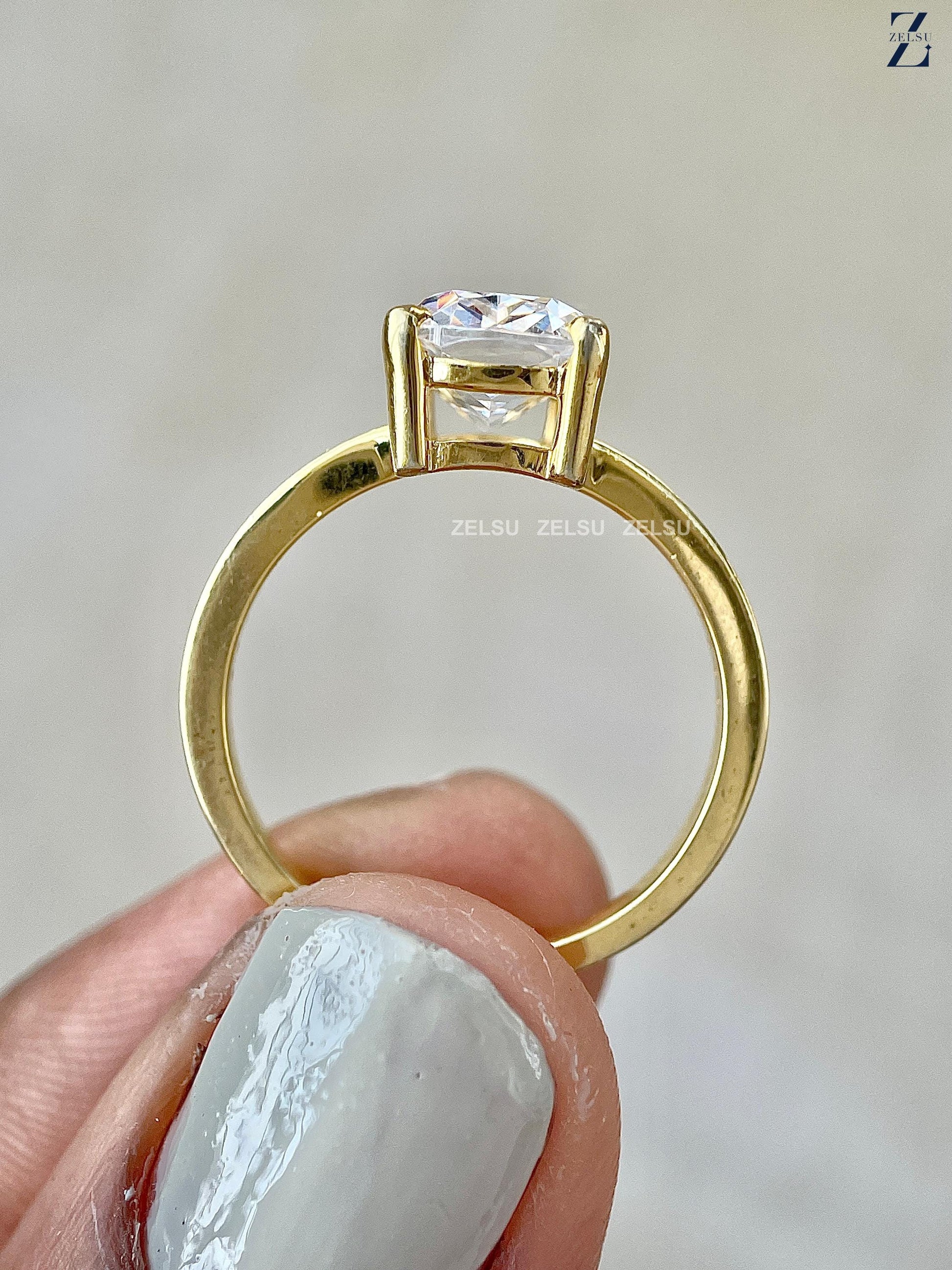 ZJM02078_T
