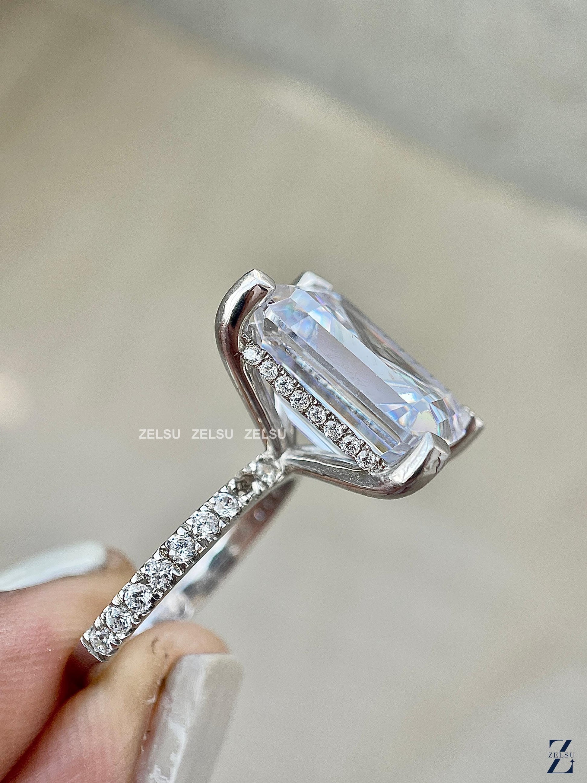 ZJM02083