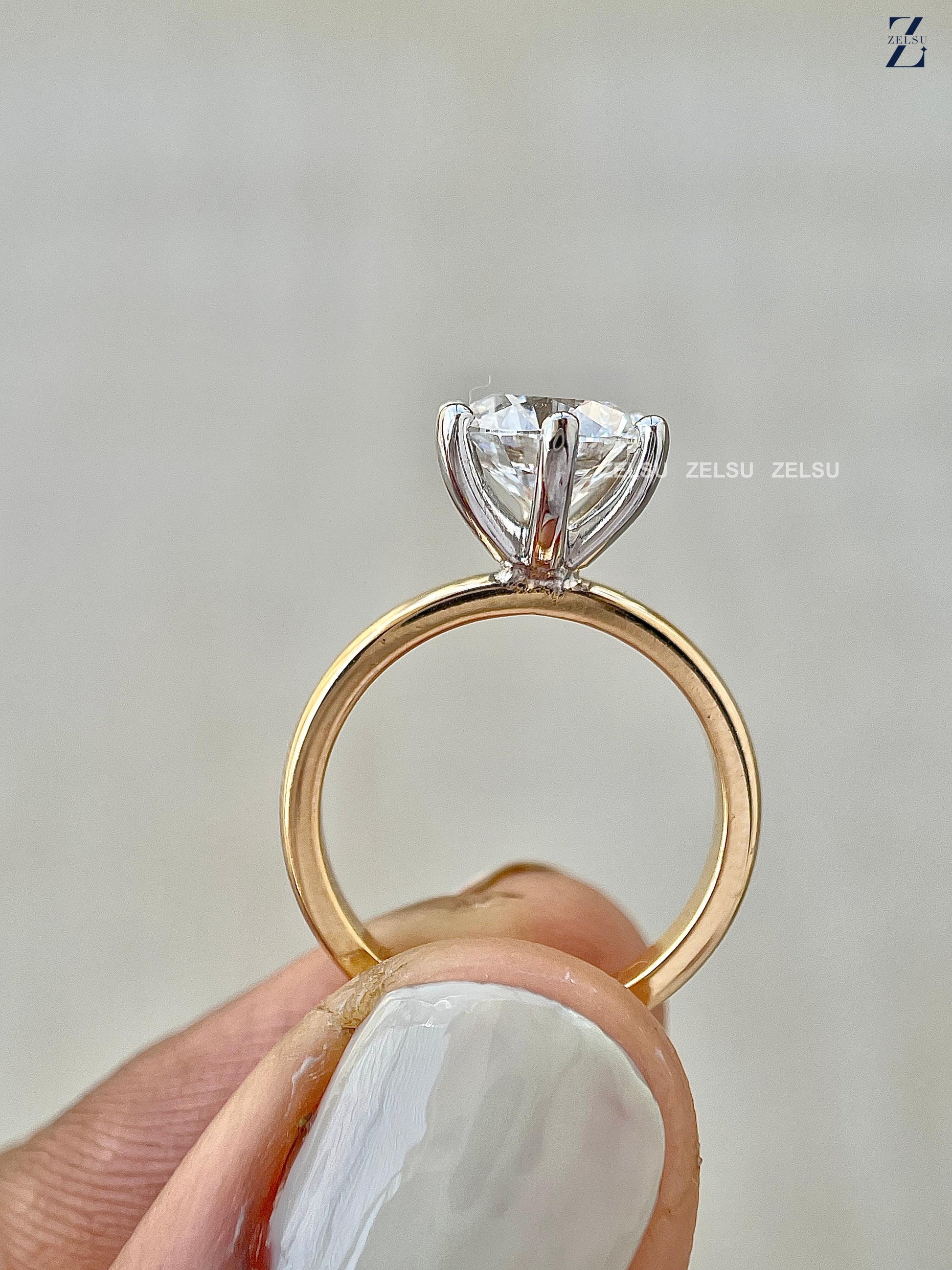 ZJM01029_M