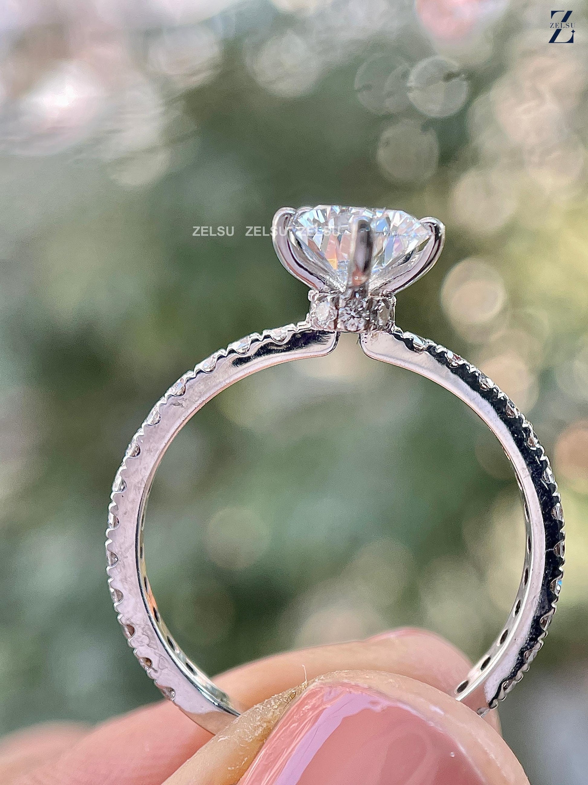 ZJM01039_M