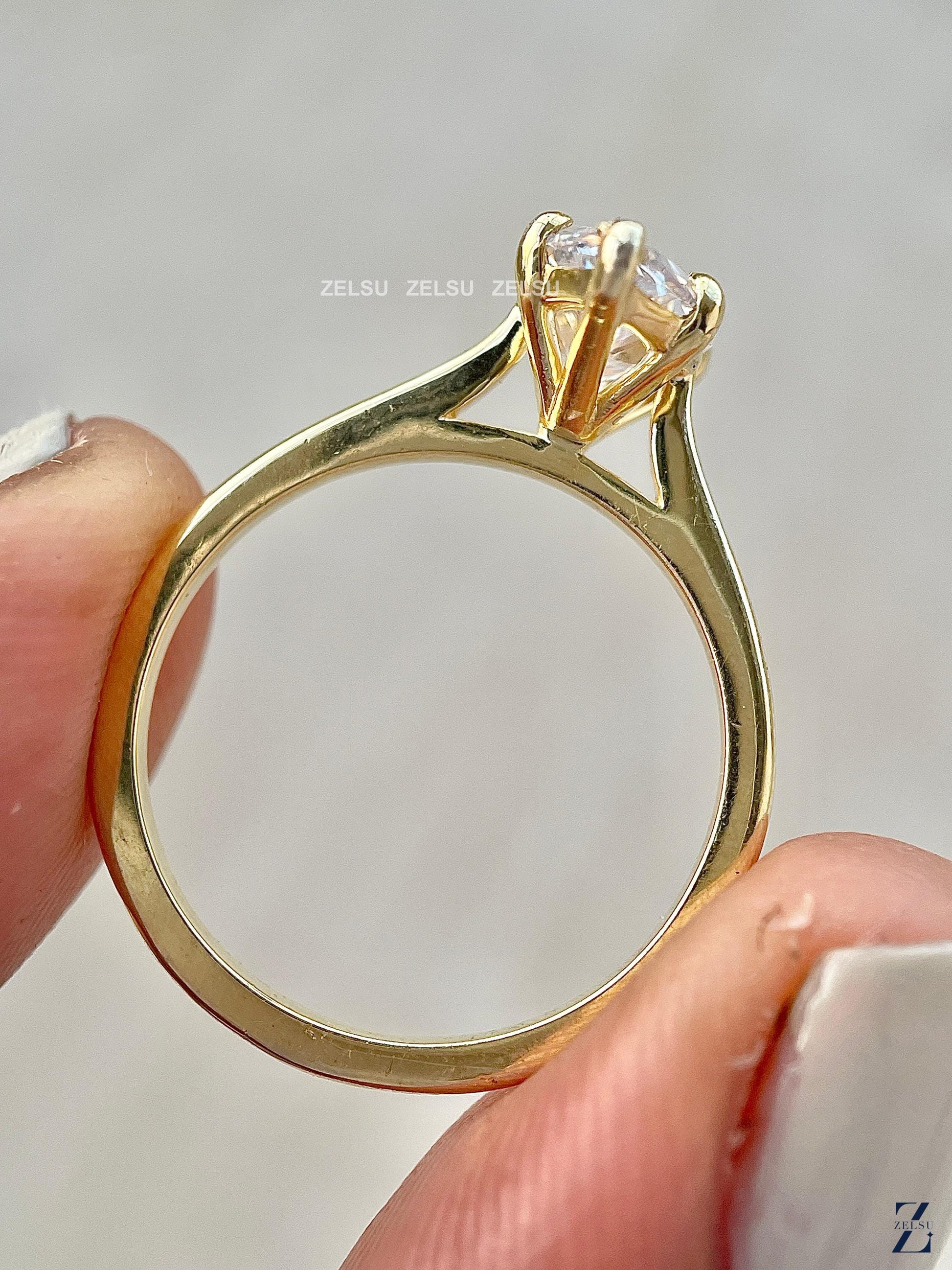 ZJM02153