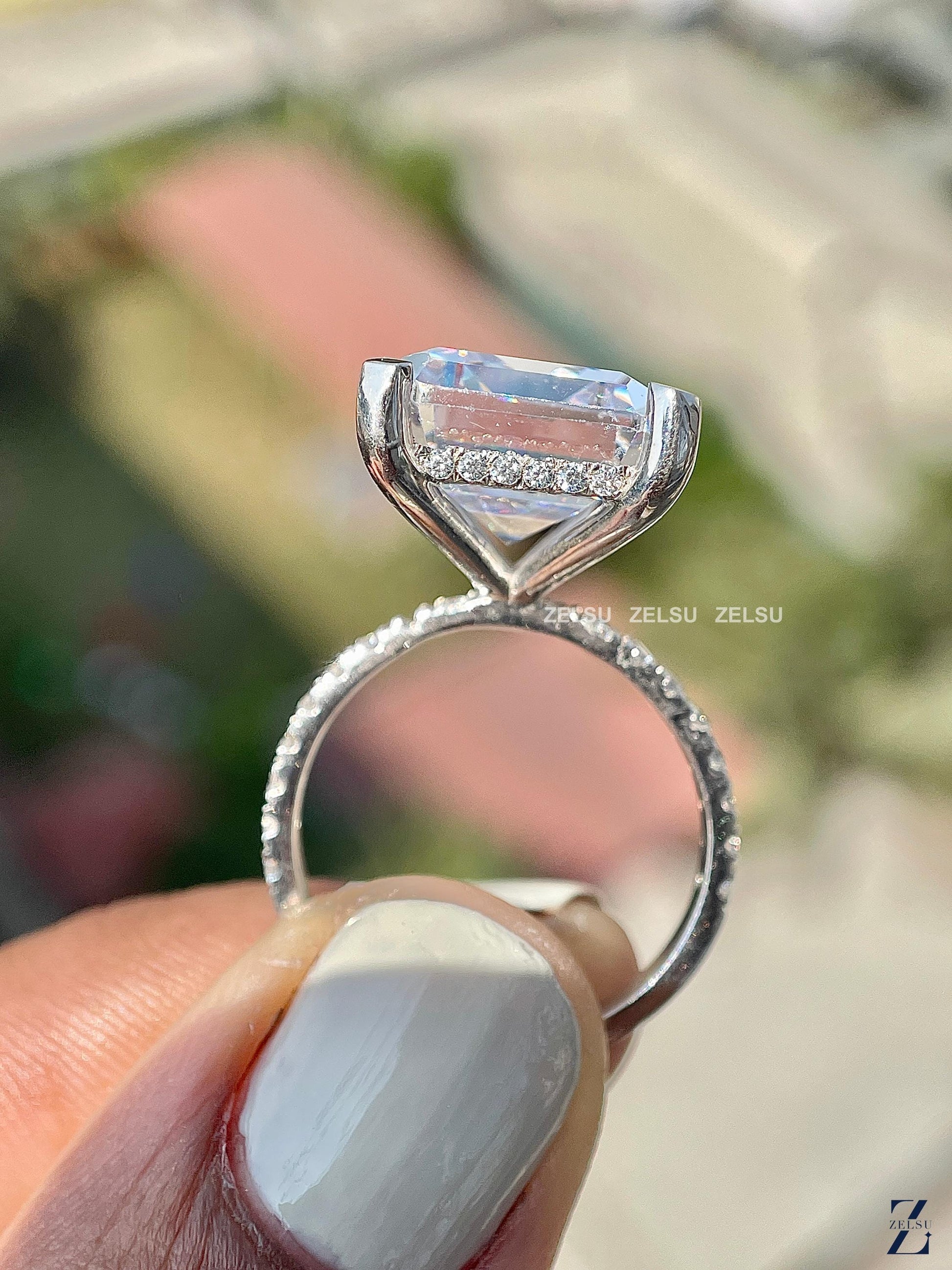 ZJM02083