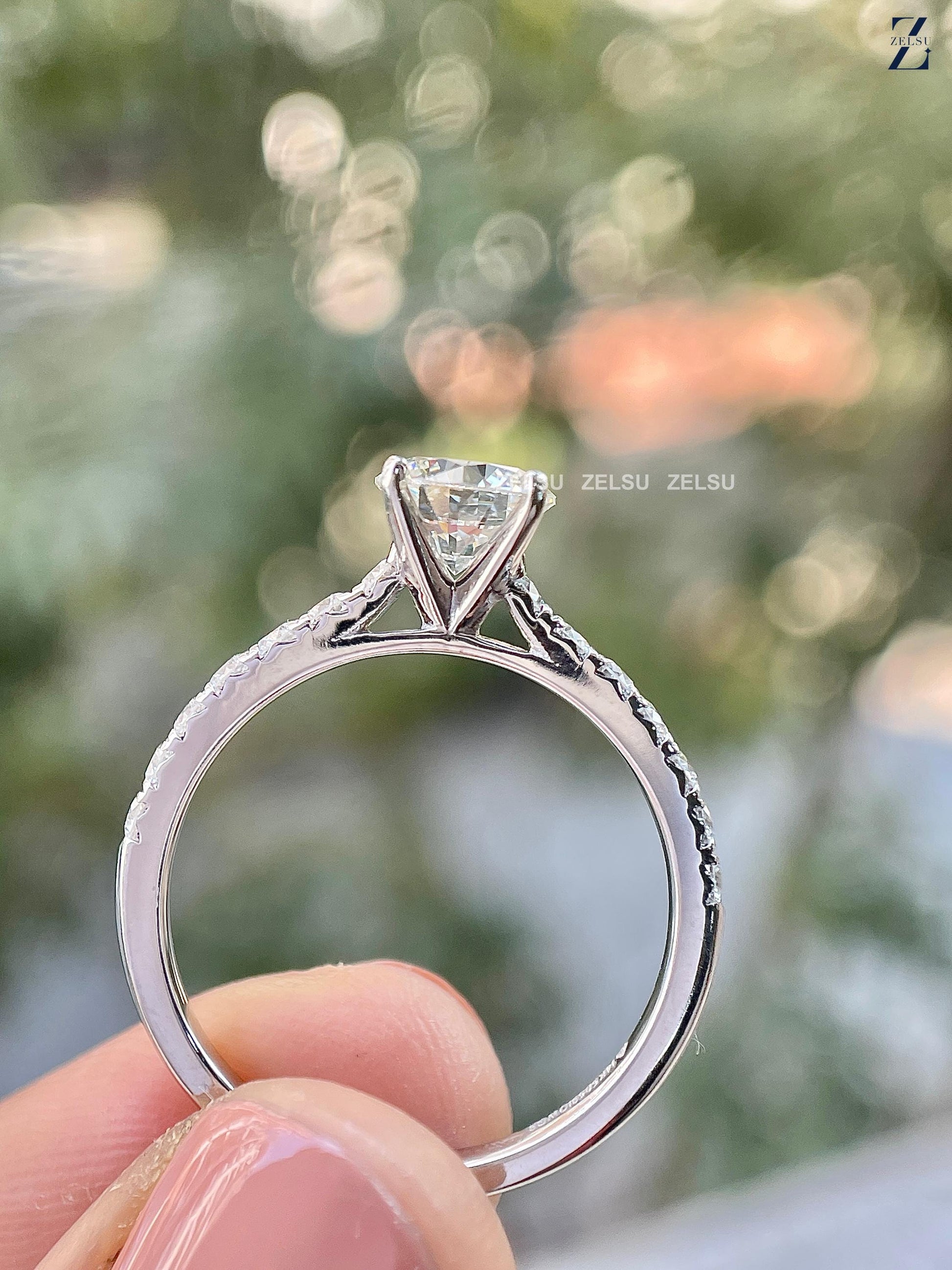 ZJM01036_M