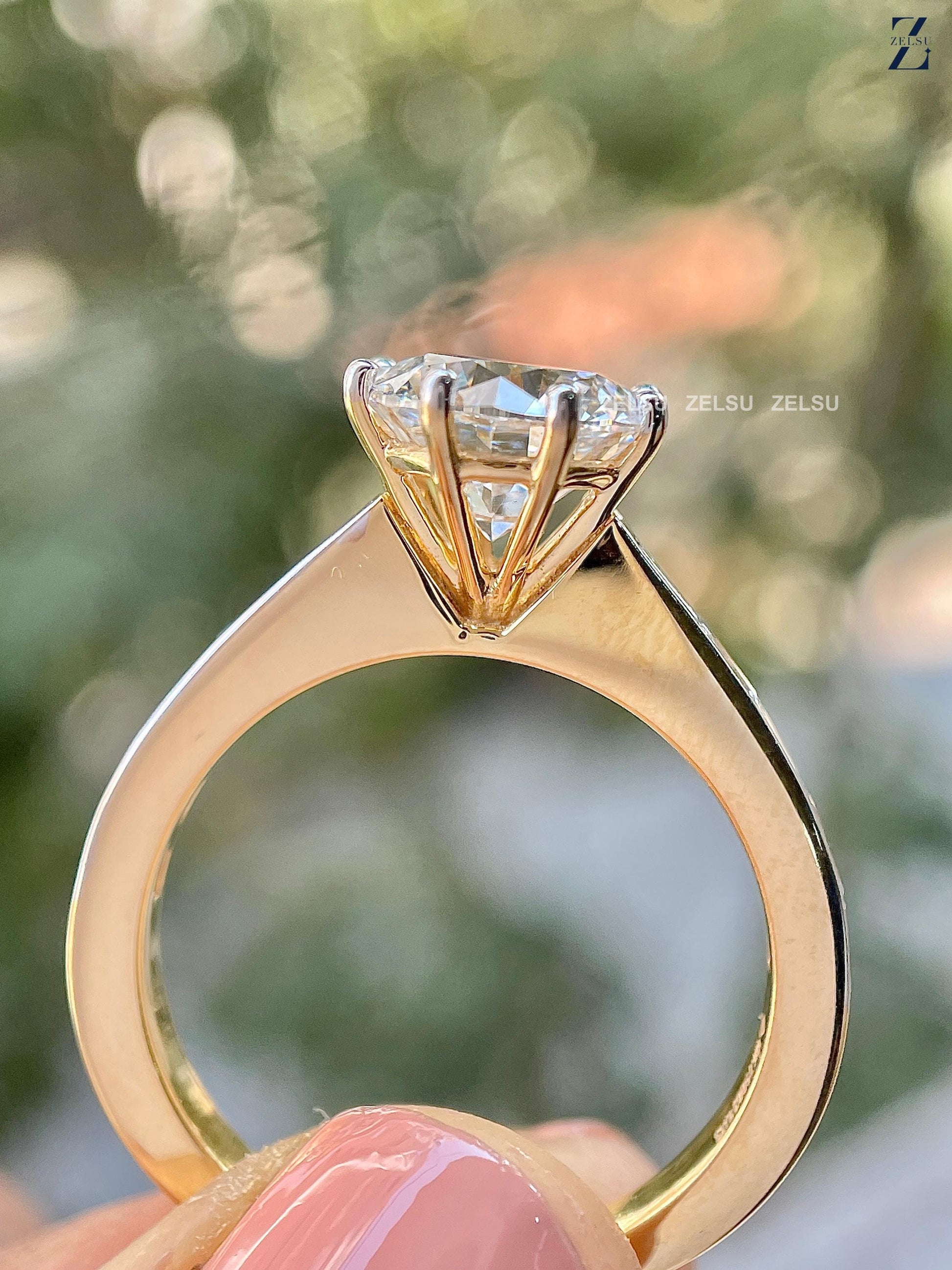 ZJM01037_M