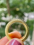 ZJM02231_M